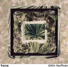 fine art mixed media photograph that includes polaroid transfer, liquid emulsion and mat decoration titled Yucca