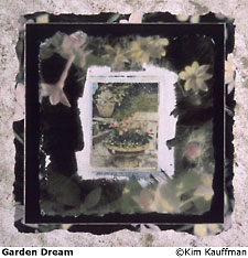 Garden Dream Photograph a Mixed media polaroid transfer, liquid emulsion, mat decoration on water color paper titled Garden Dream by Kim Kauffman