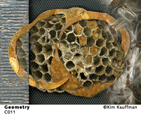 Geometery from the Collaborations series by Kim Kauffman made with multpile scans from orignal objects scannography