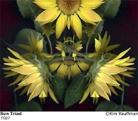Sun Triad photograph - archival pigment print made from multiple scans of original objects - scanography