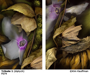 Fine Art photograph Tribute 1 from the Florilegium series by Kim Kauffman Photo collage with multiple scans of original 3d objects scanography.