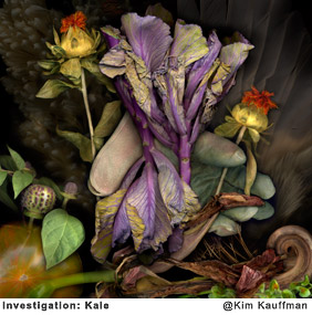 Investigation:Kale photographic collage made from scans of original objects by photographer Kim Kauffman