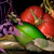 Investigation-Tomato photographic collage made with multiple scans of original objents by photographer Kim Kauffman